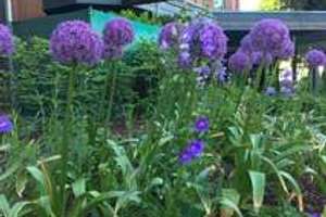 Property thumbnail 16