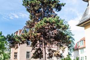 Kapitalanlage mit Charme - Vermietete Dachgeschosswohnung – Die vollständige Adresse der Immobilie erhältst du vom Anbieter., 1127 Pieschen-Nord/Trachenberge, Dresden – Vorschaubild 2