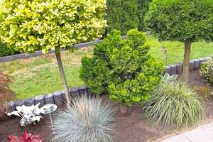 Property thumbnail 32