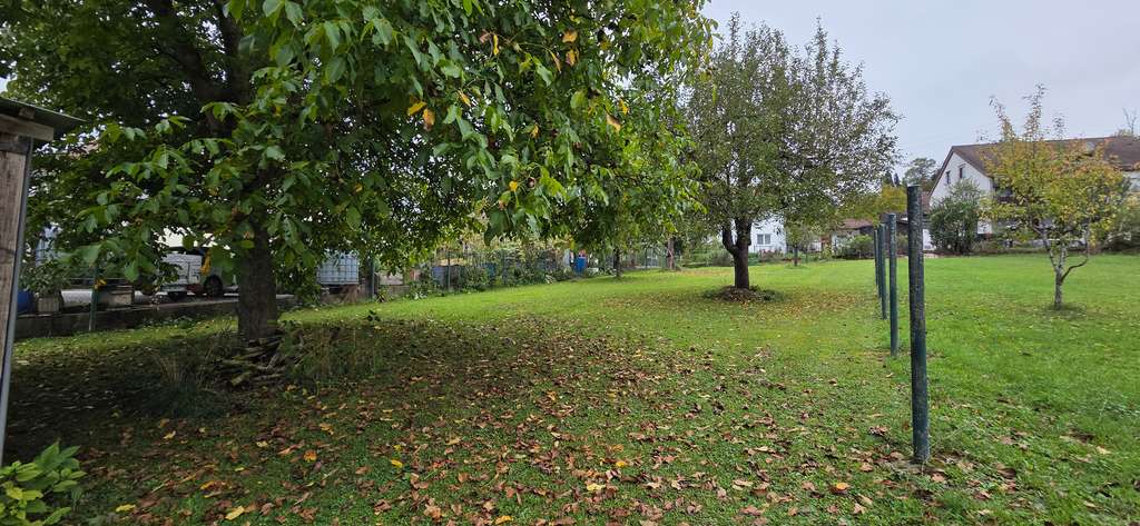 Immobilie in Stimpfach - Viel Platz für Familie & Ideen – Haus mit 1.767 m² Grundstück - Bild 1