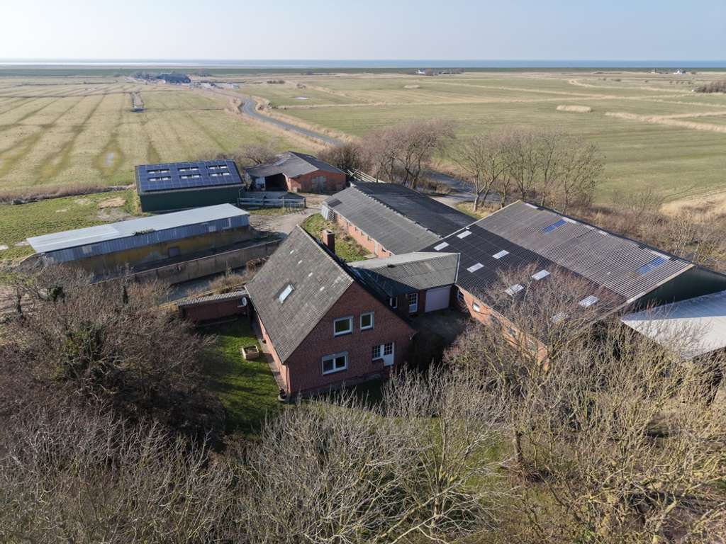 Immobilie in Westerhever - Ahndelhof - Bild 0