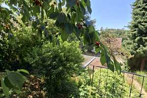 Ein Zuhause mit Charme und Potenzial. Großzügiges Einfamilienhaus mit Einliegerwhg.  u. Garten – Im Altweg 21, 79541 Lörrach (Kreis) – Vorschaubild 3