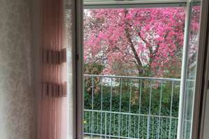 Attraktive 3-Zimmer-Wohnung mit Balkon und Einbauküche in Striesen-Ost – Die vollständige Adresse der Immobilie erhältst du vom Anbieter., 1277 Striesen-Ost, Dresden – Vorschaubild 11