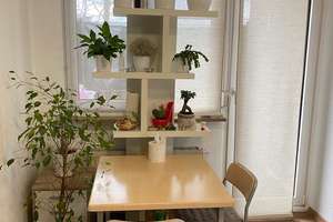 Modernisierte 1-Zimmer-Wohnung im EG. mit Terrasse und TG an Dianaplatz – Heisterstraße 20, 90441 Werderau, Nürnberg – Vorschaubild 11