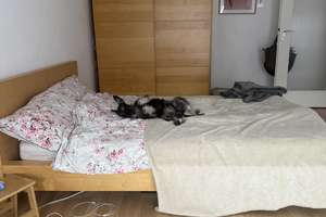 Helle 2-Zimmer-Wohnung mit 2 Balkonen in der Schwetzinger Vorstadt – Nachmieter ab 01.10. gesucht – 68165 Schwetzingerstadt/Oststadt, Mannheim – Vorschaubild 15