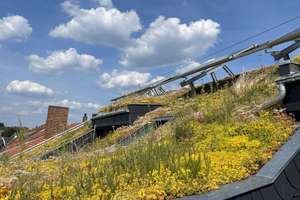 Property thumbnail 19