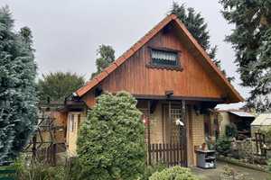 Großzügiges Zuhause mit Gartenidylle – Oberspreewald-Lausitz (Kreis) – Vorschaubild 12