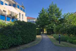 Komplett neu möblierte, frisch renovierte, helle 1-Zi-Whg im Hochparterre mit Balkon und neuer Küche – Kastanienallee 19, 13158 Rosenthal, Berlin – Vorschaubild 17