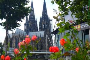 BRAVOUR IMMOBILIEN: Sensationeller, unbezahlbarer Blick auf den Dom - Rhein für unter 6.660 pro m³ – 50735 Riehl, Köln – Vorschaubild 37