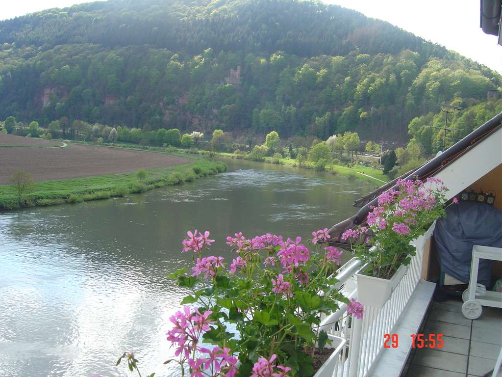 Immobilie in Neckarsteinach - Charmante 4,5-Zimmer Dachgeschosswohnung in Neckarsteinach, voll renoviert - Bild 1