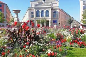 Property thumbnail 16