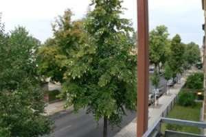 3-Zimmer-Wohnung mit Balkon - frei stehend – Reisewitzer Straße 71, 1159 Löbtau-Süd, Dresden – Vorschaubild 8