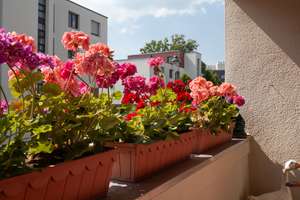 Property thumbnail 20