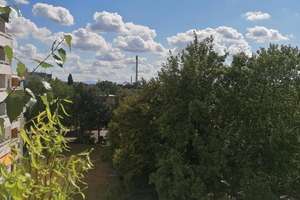 Von Privat: Schwarzer Berg! moderne 3-Zi-Whg, 2 Bäder, EBK, Loggia, Keller, Kfz-Stellplatz – Die vollständige Adresse der Immobilie erhältst du vom Anbieter., 38112 Nordstadt, Braunschweig – Vorschaubild 14