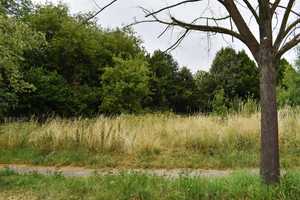Busonistr. - Familienfreundliches Reihenendhaus 
in ruhiger KAROW-Lage mit Parkplatz! 
S-Bhf.! – Berlin – Vorschaubild 16