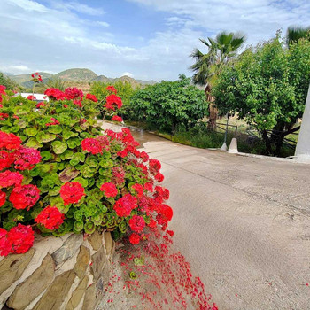 TRAUMHAFTE FINCA RÚSTICA MIT POOL, GRILL UND PANORAMABLICK RUHE UND NATUR NUR 20 MINUTEN VON PUERTO 