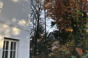 Property thumbnail 25