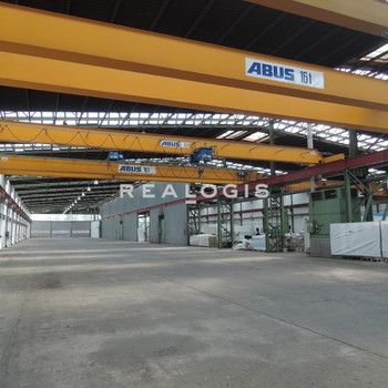 Lager-/Logistikfläche | Palettenstellplätze | ca. 9 m UKB