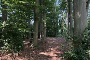 So sehen Träume aus! Imposante Villa auf  9.775 m² parkähnlichem Grundstück und eigenem Wald. – Amtsdamm 65, 27628 Hagen im Bremischen – Vorschaubild 14