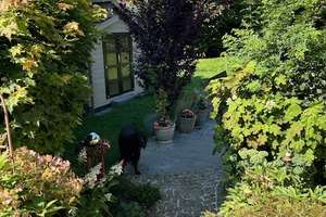 PROVISIONSFREI + PREISREDUZIERUNG
Einfamilienhaus mit Werkstatt + Atelier in bester Lage in Welden – Die vollständige Adresse der Immobilie erhältst du vom Anbieter., 86465 Welden – Vorschaubild 8