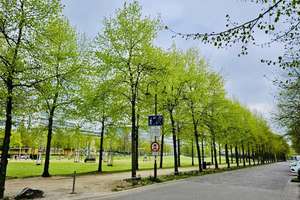 Property thumbnail 12