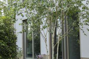 Exklusives Townhouse in Bestlage in Frankfurt-Diplomatenviertel  – Die vollständige Adresse der Immobilie erhältst du vom Anbieter., 60487 Bockenheim, Frankfurt am Main – Vorschaubild 1