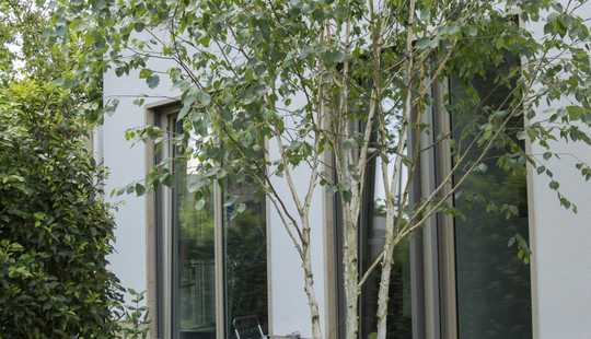 Bild von Exklusives Townhouse in Bestlage in Frankfurt-Diplomatenviertel 