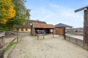 Wohnen, Pferde, Arbeiten und Genießen – das Beste aus zwei Welten! – Grafwegenerstrasse 16-16a, 47559 Kranenburg – Vorschaubild 89