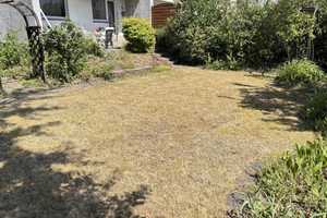 Garten, Pool und Raum für Ideen – Hannover (Kreis) – Vorschaubild 5
