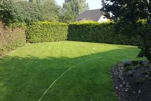 Property thumbnail 37