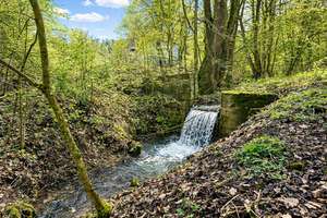 Ehemalige Mühle mit parkähnlichen Grundstück und Teich in Alleinlage von Weismain – Die vollständige Adresse der Immobilie erhältst du vom Anbieter., 96260 Weismain – Vorschaubild 7