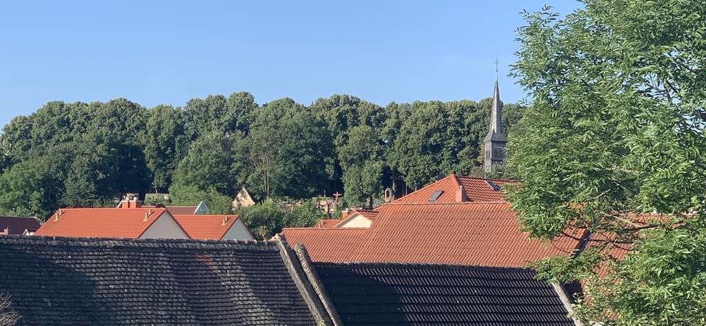 Immobilie in Bodenheim - Gelegenheit - 2 Fam. Haus in Bodenheim - Bild 2