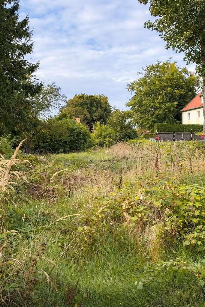 Immobilie in Bergen auf Rügen - Sanierungsbedürftiges Haus mit Potenzialgrundstück unweit des Marktplatz - Bild 4