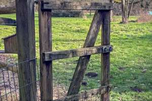 Property thumbnail 20