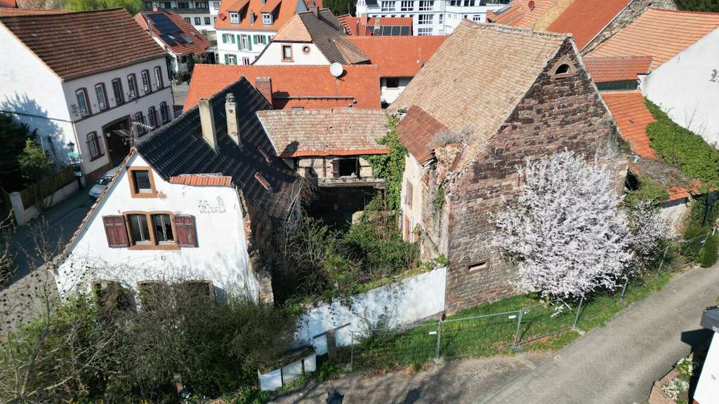 Immobilie in Grünstadt - Sanierung oder Neubau /// 533 m² Grundstück mit Altbestand und gigantischer Scheune - Bild 0