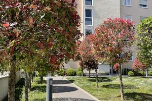 3-Zimmer-Wohnung in Wiesbaden Klarenthal – Carl-von-Ossietzky-Straße 34-44, 65197 Klarenthal, Wiesbaden – Vorschaubild 4