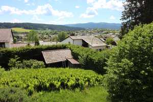 Großes Zweifamilienhaus mit schön eingewachsenem Garten in Aussichtslage von Regen – Regen (Kreis) – Vorschaubild 26