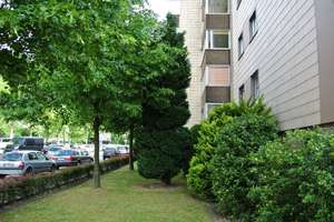 Neu renoviert ! Diese Singlewohnung mit Wintergarten wartet auf SIE ! – 44269 Westfalendamm, Dortmund – Vorschaubild 12