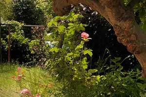 Property thumbnail 45
