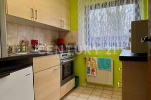 Mehrfamilienhaus und Einfamilienhaus Nähe Zentrum von Mayen – Die vollständige Adresse der Immobilie erhältst du vom Anbieter., 56727 Mayen – Vorschaubild 55