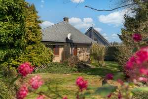 Gepflegter Bungalow in Hohnstorf – Wohnen auf einer Ebene mit liebevoll gestaltetem Garten – Lüneburg (Kreis) – Vorschaubild 20
