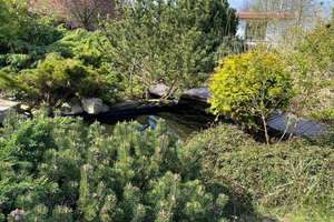 Malchin: 3.600 m² Grundstück mit 2 Familienhaus frisch saniert per SOFORT zu VERKAUFEN – Basedowerstr 82, 17139 Malchin – Vorschaubild 10