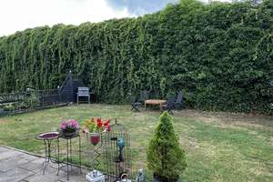Sofort Mieteinnahmen sichern! Vermietete EG-Wohnung in Sögel! – 49751 Sögel – Vorschaubild 8