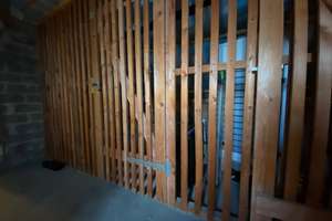 Rheinblick, Horchheimer-Höhe, schöne 3,5 ZKB,Gäste-WC,Balkon,Stellplatz, direkt in der Natur – Im Junkerstück 51, 56076 Horchheimer Höhe, Koblenz – Vorschaubild 41