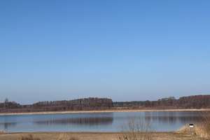 Property thumbnail 72