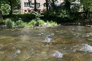 Provisionfrei! Schwarzburg, Mehrfamilienhaus direkt am Fluss – Saalfeld-Rudolstadt (Kreis) – Vorschaubild 3