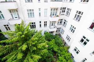 Property thumbnail 13