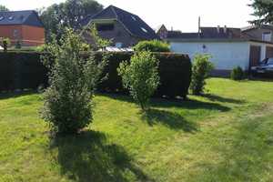 Voll vermietetes Mehrfamilienhaus zu verkaufen – Mansfeld-Südharz (Kreis) – Vorschaubild 10