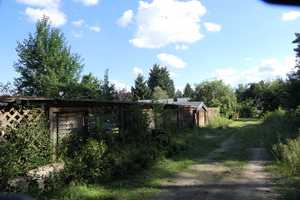 Wohnhaus-Bungalow auf 2400 m² Grundstück mit Schwimmteich und Nebengelass – Kiefernweg 6, 14797 Potsdam-Mittelmark (Kreis) – Vorschaubild 58