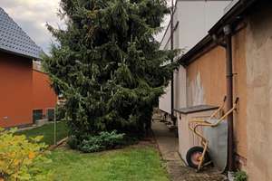 + Familiäre Lage - BUNGALOW m. SÜDWEST-Terrasse + – Die vollständige Adresse der Immobilie erhältst du vom Anbieter., 39110 Sudenburg, Magdeburg – Vorschaubild 10